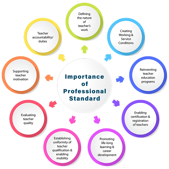 Circular diagram showing 9 areas of Importance of Professional Standard